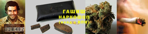 прущие крисы Горно-Алтайск