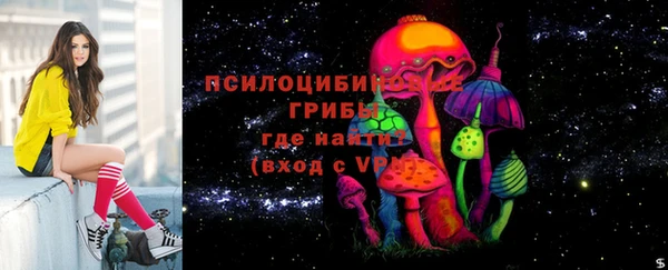 меф Горняк